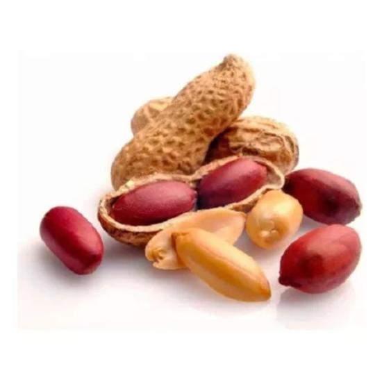 Amendoim Torrado Em Casca Safra Nova 500g Mega Oferta